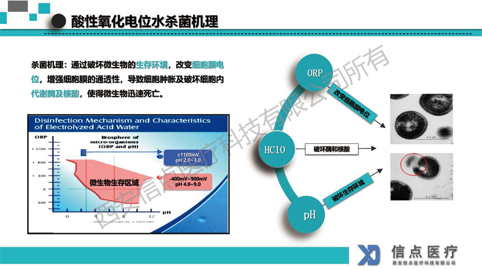 医疗机构(图11)