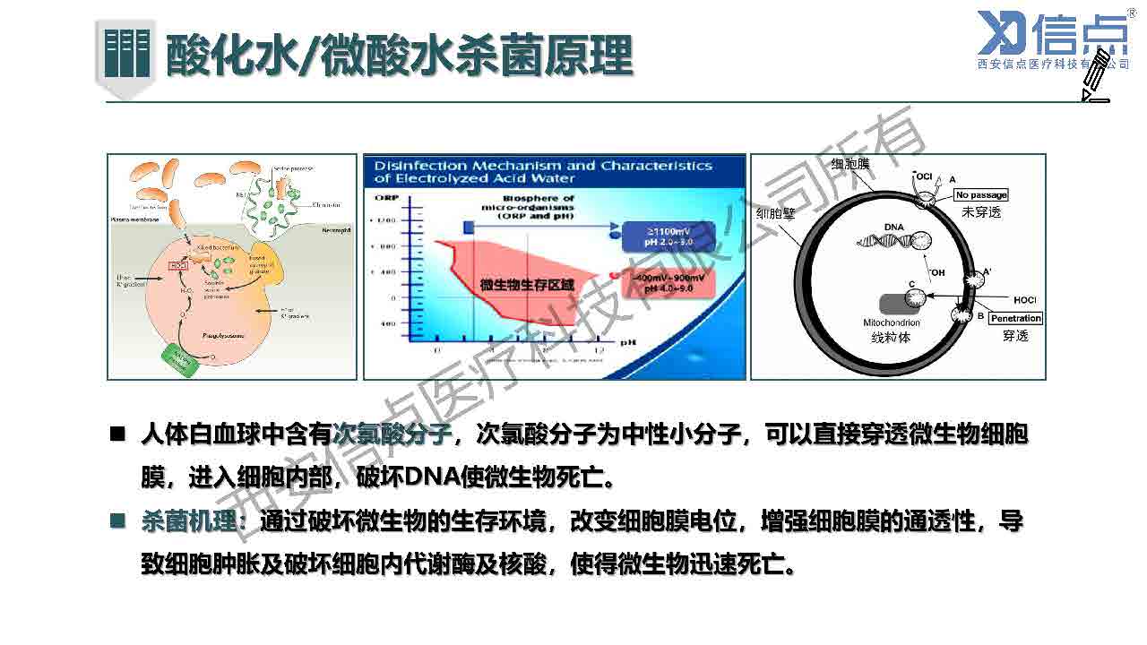 畜牧养殖业酸化水&微酸水消毒解决方案(图14)