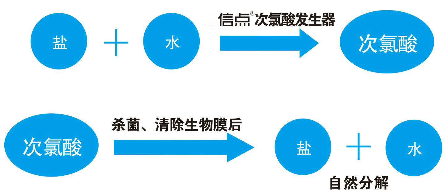 食品加工(图2)