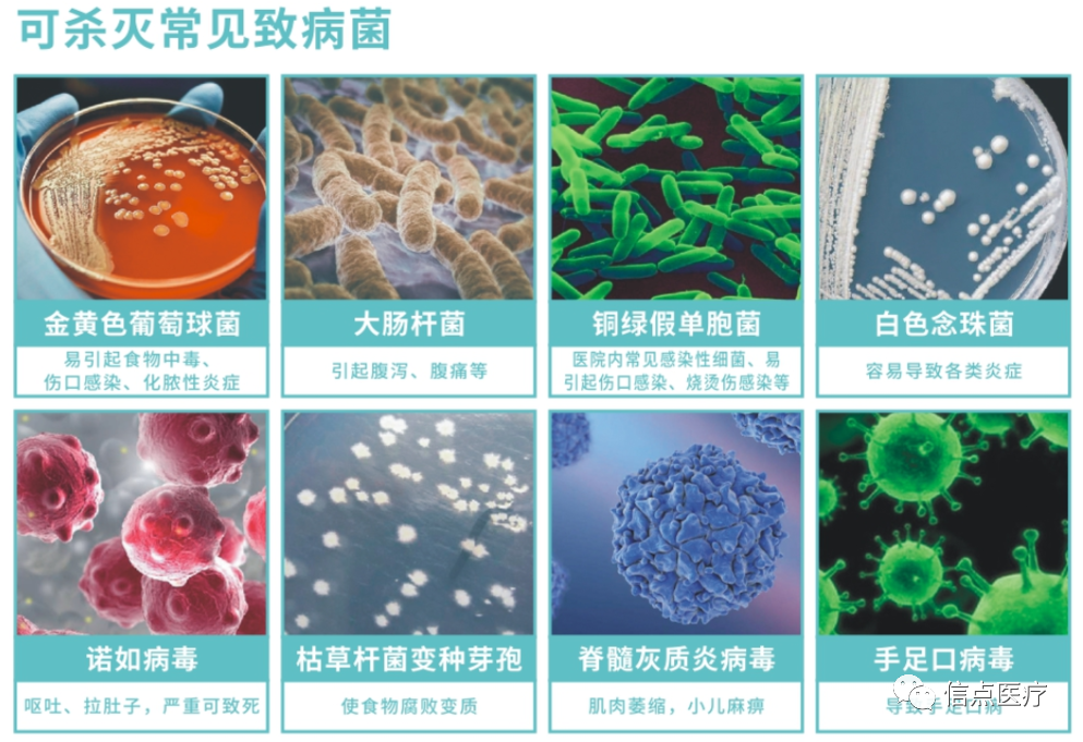 新品首发 | 信点医疗XD 牌次氯酸消毒液产品正式上市(图4)