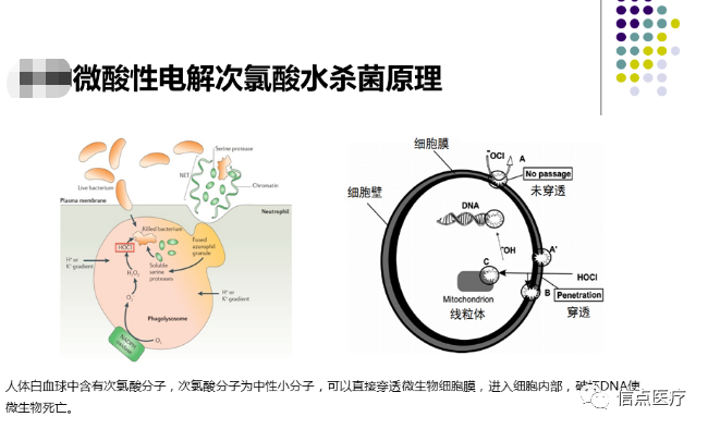 课件分享|西安交大二附院专家索瑶关于微酸性电解次氯酸水在医疗系统的应用简介分享(图23)