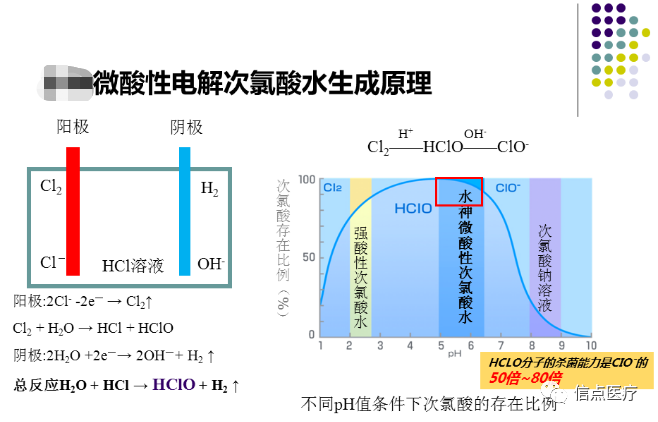 课件分享|西安交大二附院专家索瑶关于微酸性电解次氯酸水在医疗系统的应用简介分享(图21)