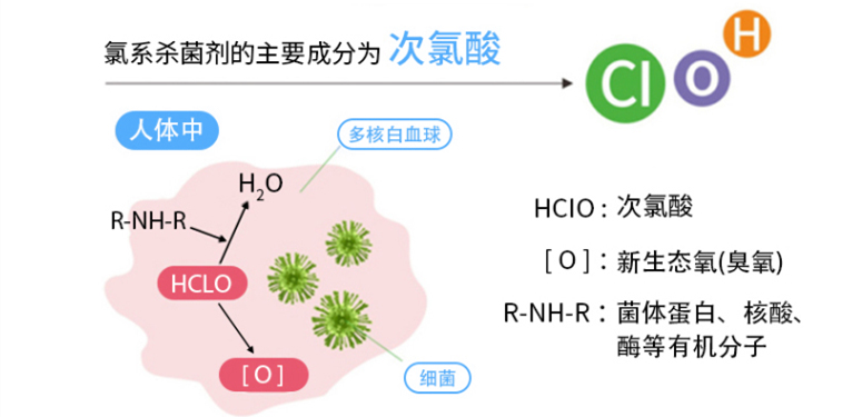 探讨次氯酸作为外用杀菌消毒水的可行性 (图1)