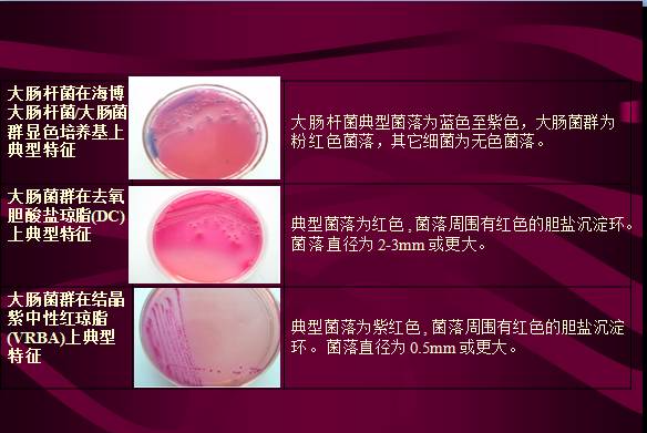 常见微生物菌落形态及消毒灭菌方式(图6)