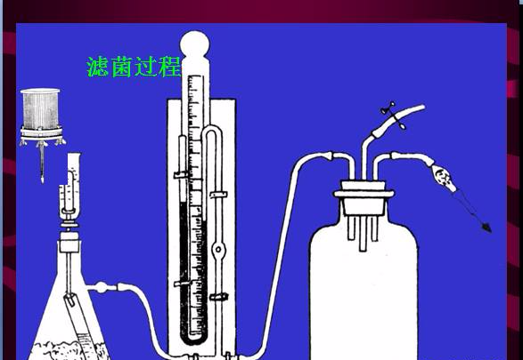 常见微生物菌落形态及消毒灭菌方式(图33)