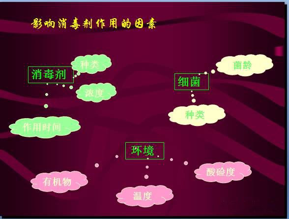 常见微生物菌落形态及消毒灭菌方式(图37)