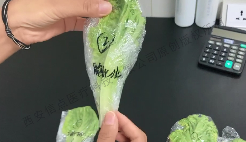 酸化水作用生菜实验验证酸化水对蔬菜的保鲜作用(图6)