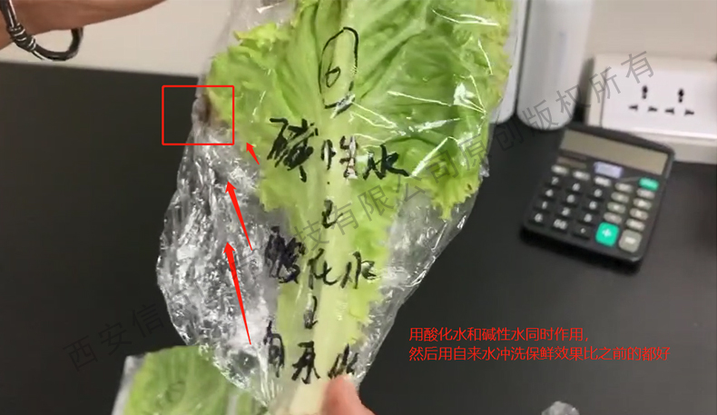 酸化水作用生菜实验验证酸化水对蔬菜的保鲜作用(图5)