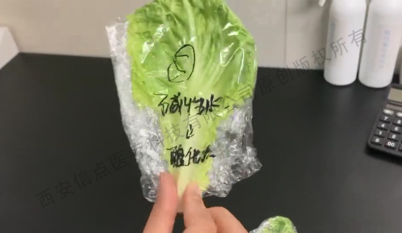 酸化水作用生菜实验验证酸化水对蔬菜的保鲜作用(图7)