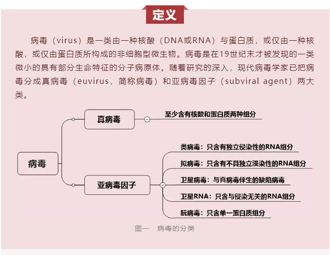 微生物科普 | 病毒是什么？(图1)